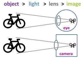 A simple diagram compares a human eyeball "seeing" a bicycle and a camera "seeing" a bicycle. The observed object, the bicycle, appears upside down inside and at the back wall of the eyeball (retina) and camera (film), both having been perceived by a lens focusing incoming light onto a photosensitive area.