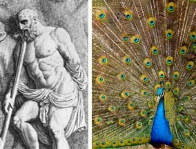 Two images: A black ink drawing shows a strong, bearded man with a cloth draped around his waist, holding a long staff; his bald head is covered with many eyes. A photograph of a blue peacock with tail feathers spread, showing a scattering of many eye-shapes in the feathers' coloring. 