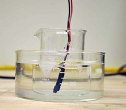 Photo shows a beaker in a water bath with a temperature probe. 