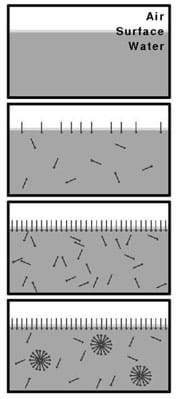 A four-panel diagram shows an air and water interface. The top panel has no surfactant, only pure water. The next panel shows surfactant sparsely covering the surface. The third panel shows the surface completely filled with surfactant molecules. The final panel shows additional surfactant forming spherical micelles in the liquid.