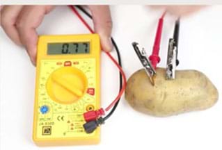 A photograph showing an exemplary potato battery.