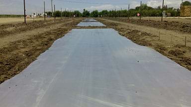 A photograph shows an agricultural field of unplanted brown soil covered with a whitish transparent plastic tarp.