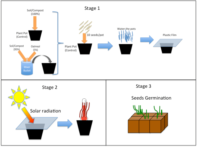 Three graphics depict the three activity stages. During session 1, students prepare the soil (control and treatment versions), put it in the pots, add seeds and water, and cover the pots with plastic wrap. In session, 2, students remove the plastic, smell the degradation products and measure the pot temperatures. During session 3, students count the plants in each pot and determine how many seedlings (weeds) died.