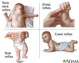 Four-part image shows babies exhibiting tonic neck reflex, grasp reflex, step reflex and crawl reflex.