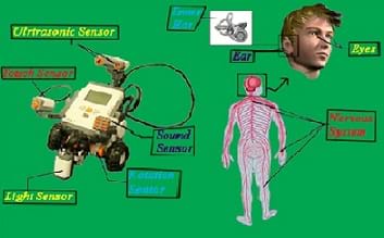 Composite picture of LEGO NXT robot with electronic sensors and a drawing of the human nervous system.