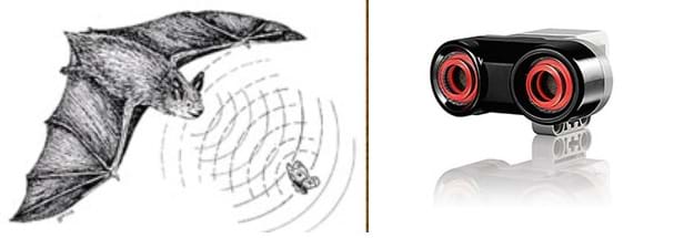 Two images: A diagram shows a bat using its sonar to locate prey. The bat sends out sound waves and the returning waves provide it with information about the location of a moth. A photograph shows a palm-sized gray and white plastic device with a metal screens inside two orange-rimmed porthole openings (a LEGO ultrasound sensor).