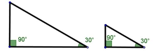 A drawing of two similar acute right triangles. One set of acute angles are marked as 30 degrees.