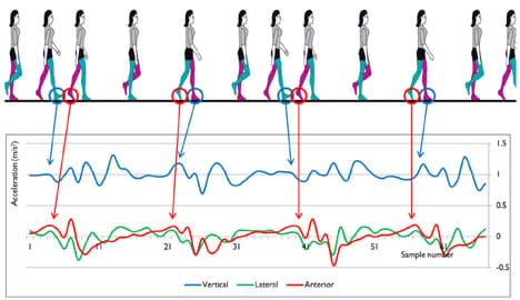 A diagram shows 12 side views of a walking woman above an acceleration (m/s/s) vs. time graph with circles and arrows mapping heel strikes and toe off stages of the gait cycle to specific points on the graph's lines.