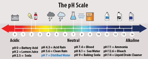 An image shows the pH scale with references to common items.
