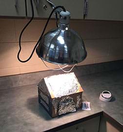 A photograph shows an illuminated clamp lamp positioned above what looks like a small, foil-covered cardboard peaked-roof house on a countertop. Nearby are a thermometer and kitchen timer.