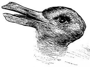 A black and white drawing that looks like a duck until your eyes switch perspective and see a rabbit, or vice versa.