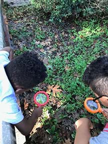 Two male students practice using magnifying glasses in an outdoor environment. They are looking through the magnifying glasses at a grassy area.
