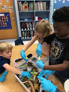 Image of three students working together as they add food waste (banana peels, broccoli stems, and old fruit) into a compost bin. The compost bin includes leaves, dirt, and twigs.