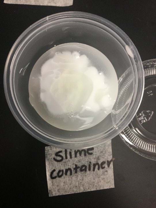 An image of unmixed slime ingredients. 