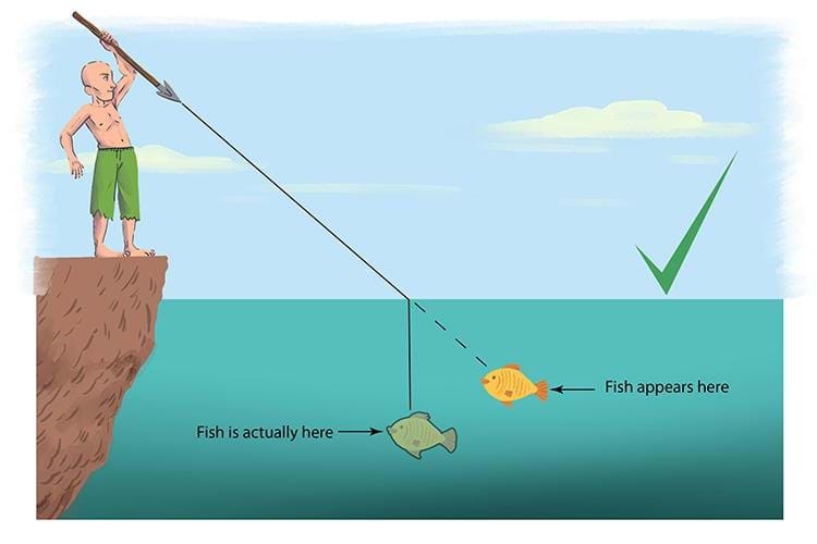 A cartoon image of a fisherman aiming to throw a spear at a fish in water. A solid line shows the anticipated path of the spear to hit the fish. A label next to the fish reads, “Fish appears here.” A second fish labeled, “Fish is actually here” is slightly to the left of the fish. A large green check mark is on the image. 