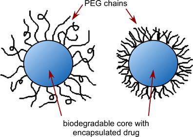 A line drawing shows two blue circles (representing a biodegradable drug substance), each surrounded with black lines (representing encapsulation by attached biodegradable PEG polymer chains) sticking out from the circle edges. One blue circle s loosely covered with curly lines and the other is densely covered with shorter lines, representing different types of encapsulation.