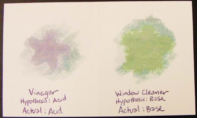 On an index card, two hand-drawn star images. Under one star: vinegar, hypothesis: acid, actual: acid. Under the other star: window cleaner, hypothesis: base, actual: base. 
