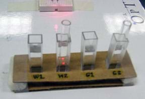 Photo shows four glass vials in holes cut in a rack made of cardboard. Vials labeled W1, W2, G1, G2.
