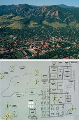 Two images: A drawing shows a town layout that includes homes, roads, city services and bobcat territory. An aerial photo shows a roads and buildings of a city surrounded by open space and mountains.