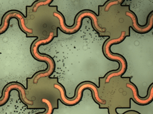 A portion of a printed circuit obtained by overlapping the Figure 5 and 6 masks. Looks like a light background with dark squares connected by snake-shaped curving lines, with all the shapes further outlined by a continuous thin black line.