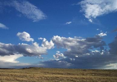 A landscape view of yellow-green grassy plains with a blue partly cloudy sky above the land. There is virtually no observable rise in the land surface.