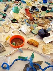 A photograph shows a wide assortment of marine debris much of it plastic parts, components and broken pieces including lids, netting and bottles.