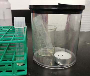 A photo shows the anaerobic culture setup. A culture tube sits in a small beaker, which is inside a larger jar alongside a burned-out candle. The jar is sealed with electrical tape. 