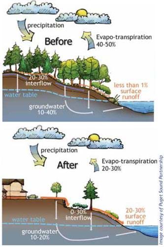 A two-part cutaway landscape diagram compares the water cycle before and after human development. Before, almost all rainfall is taken up by plants, evaporates or infiltrates through the ground. After conventional development (fewer plants and trees, more hard surfaces), surface runoff increases significantly while evaporation and infiltration into the ground decrease.