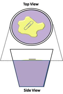 A line drawing shows top and side views of a paper clip on an irregular blob on the surface of a liquid in a cup.