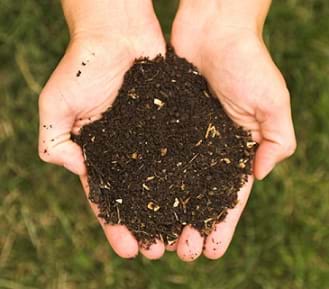 A photograph of two hands cupped together and holding a small pile of dark, soil-like compost material.