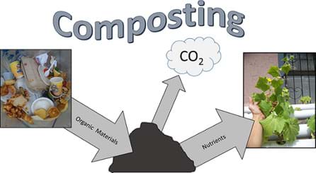 A diagram shows organic waste material (mainly food waste) being added to a compost pile from which it releases carbon dioxide and nutrients, the raw materials for plant growth.