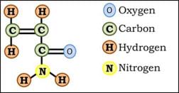 A stick diagram shows one oxygen, one nitrogen and five hydrogen atoms attached to three carbon atoms.