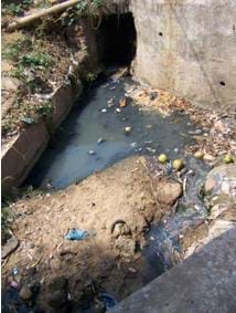 Photo shows dirty water contaminated by wastewater.