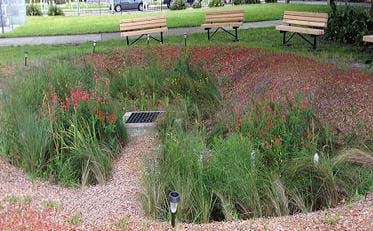 A landscape photograph shows a sunken circular area in a park with a drain in the middle, planted with grasses and flowers, and surrounded by mulch and four benches.