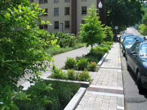 A photograph shows a line of cars parked on a street with concrete curbed planter boxes between the cars and the sidewalk, filled with plants and trees.
