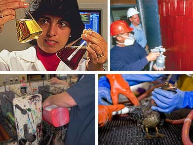 Four photos: A woman in a lab with two vials of fluids. Two men spray paint a wall. A man pours paint into a printing press. Gloved hands clean a wood duck that was caught in an oil spill.