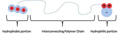Line drawing shows a long curvy line (an interconnecting polymer chain) with a CO2 molecule at its left end (hydrophobic portion) and a H2O molecule at its right end (hydrophilic portion).