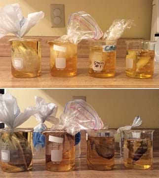 Two photographs each show a row of four clear glass beakers set up to test the selectivity of four types of polymer materials: plastic grocery store bags, zipper sandwich bags, plastic wrap and seamless cellulose dialysis tubing. In each beaker, the polymer material containing a solution (unique for each set of four beakers) is submerged in a yellowish liquid, with the excess dry polymer (plastic bag) material above the twist-tie sticking out above the beaker.