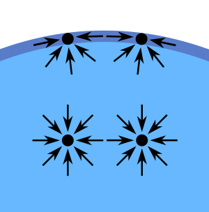 A cutaway diagram of a liquid depicts a few molecules in its mass and at its surface. Arrows around those in the liquid indicate forces equally around the molecules, compared to arrows around molecules at the surface, showing forces from the water sides, but not the air sides.
