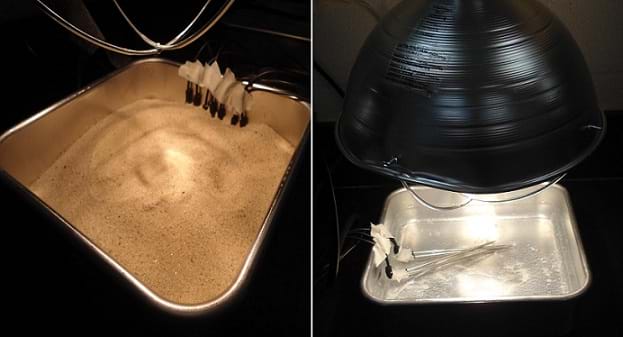 Two photographs: Square metal pans about 3-in deep. One is half-filled with sand and the other is half-filled with water. Lamps are suspended close, above the pans. Probes are hooked on the pan edges, reaching into the sand and water.