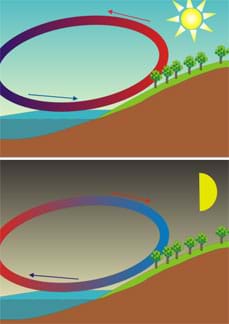 Two-part side-view diagram shows daytime and nighttime landscape scenarios of land next to water. During the sunny daytime, a circular arrow diagram shows cool (blue) air moving towards the land to take the place of rising warm (red) air, which then moves toward the water. The nighttime circular diagram is reversed, with cooler air from land moving towards the water to take the place of warm (red) air rising from the water, and then heading towards land.