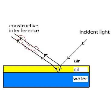 A side-view line drawing shows the path of incident light as it travels from air to oil, then water, and back out, interfering constructively with itself to produce a color pattern.