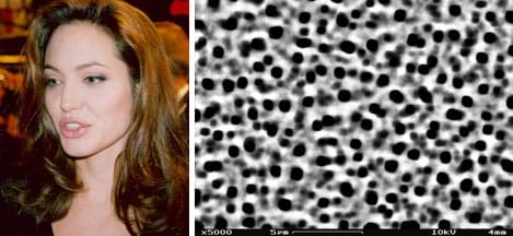 Two images: A head and shoulders photograph of Angelina Jolie, a woman with long brown hair. A black and white scanning electron microscope image of the surface of porous silicon, showing a top view of the pores; it looks like a blobby black and white pattern.
