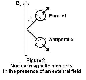 Figure 2: Nuclear magnetic moments in the presence of an external field. In the diagram, a large magnetic field vector points upwards with two vector lines coming out of its side. The vector lines travel through two spheres, and the top one is labeled parallel and the bottom one is labeled antiparallel.