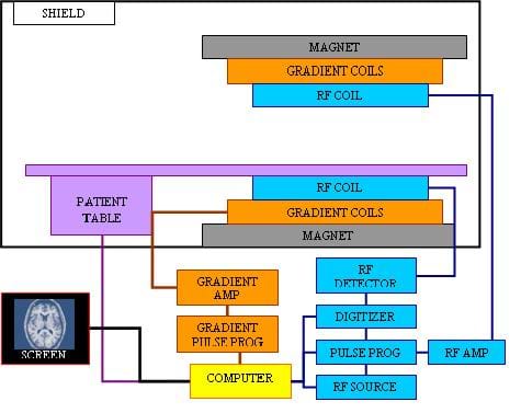 A diagram shows the major MRI hardware components and how they are connected to each other. The top portion illustrates what is included in a hospital's scan room, including the magnet, gradient coils, RF coils, patient table and room shield. Elsewhere, flow chart lines show that a computer controls all components, including gradient amp, gradient pulse programmer, RF detector, digitizer, pulse programmer, RF amp, RF source, and a display screen for controls, interface and the resulting images.
