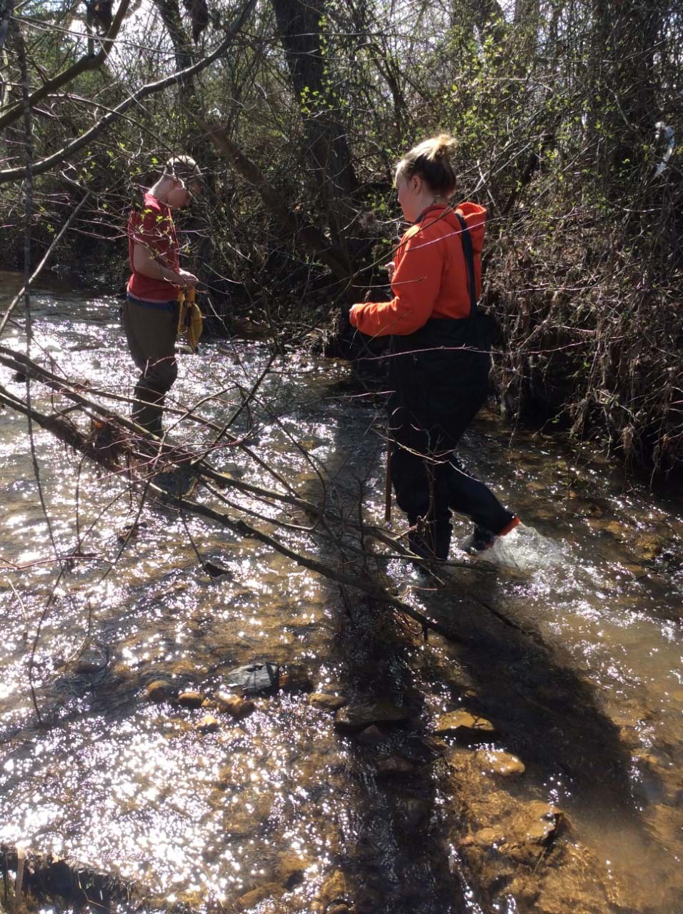 A student stands in a stream and uses measuring tape in a flow rate exercise. 