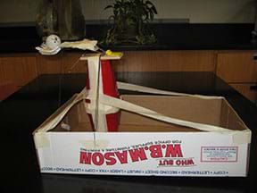 Photo shows a device made of tape, cups, plastic forks and a mouse trap in a box top. 
