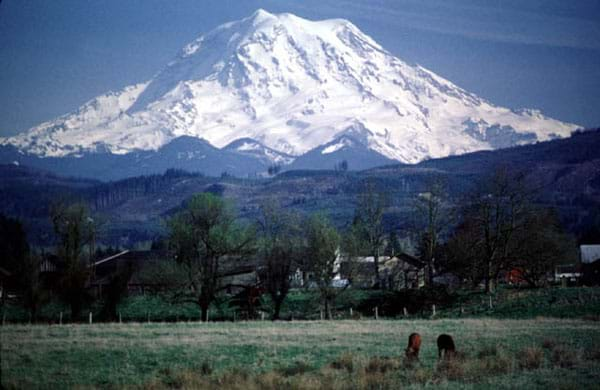 Photo of a massive, snow-covered mountain with trees and pastures in the foreground.