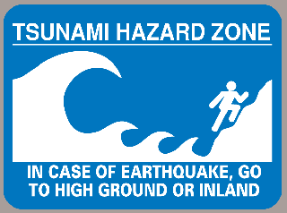 Survive That Tsunami Testing Model Villages In Big Waves