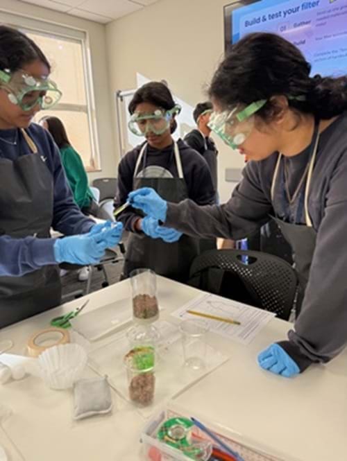 preview of 'Preventing Microplastics from Getting into Humans' Activity